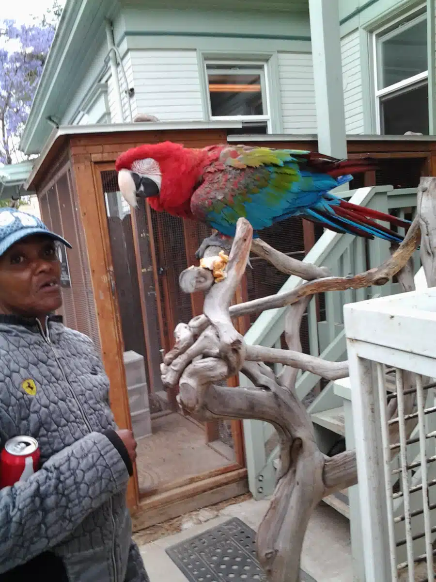 CRASH Inc - Hero Image