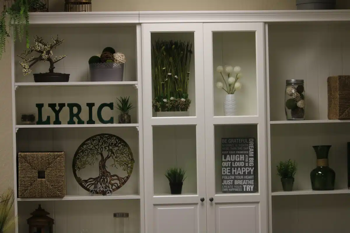 Lyric Recovery Services Inc - Preview