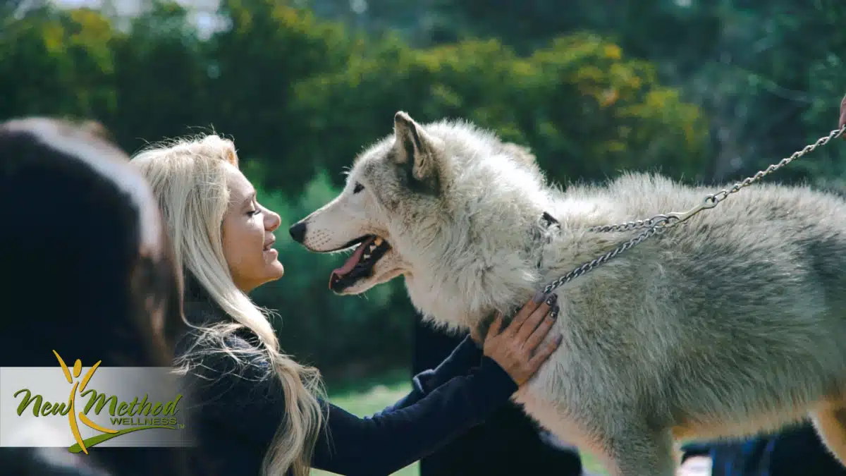 New Method Wellness - Hero Image